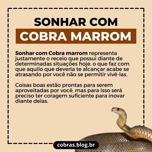 Significado Bíblico de Sonhar com Cobra: Tudo que você precisa saber!